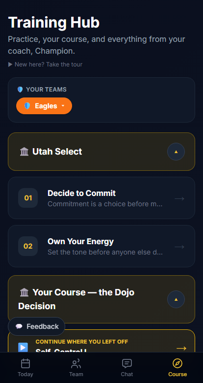 The mindset course